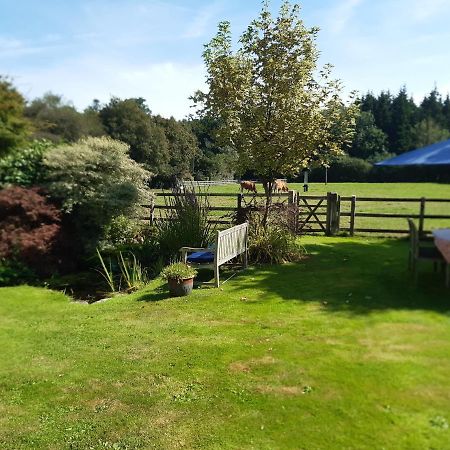 Woodlands Cottage Farm Wickham Esterno foto