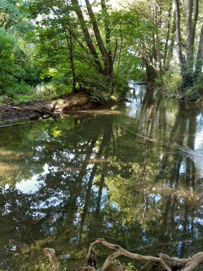 Woodlands Cottage Farm Wickham Esterno foto