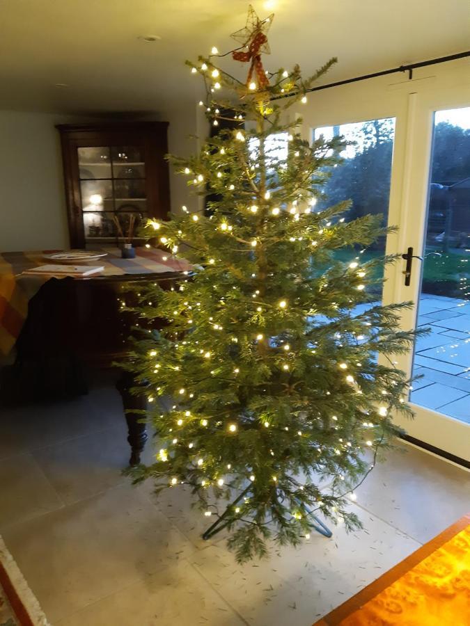 Woodlands Cottage Farm Wickham Esterno foto