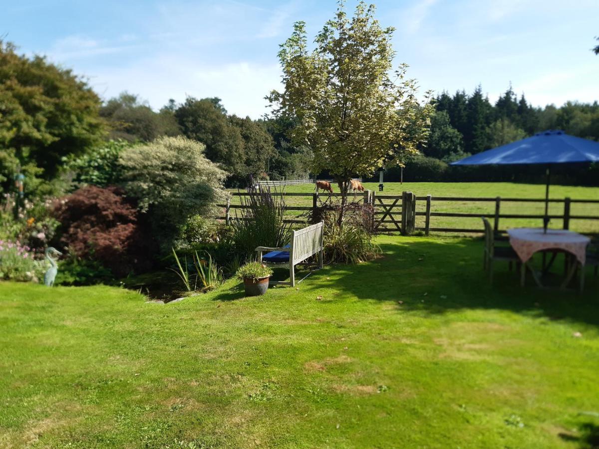 Woodlands Cottage Farm Wickham Esterno foto