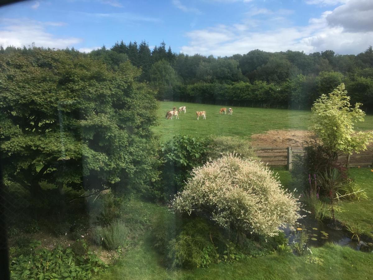 Woodlands Cottage Farm Wickham Esterno foto