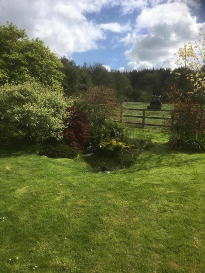 Woodlands Cottage Farm Wickham Esterno foto